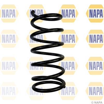 Suspension Spring (NCS1677)