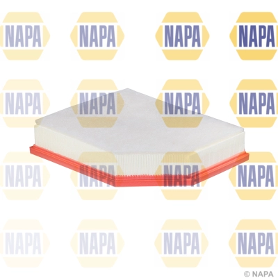 Air Filter (NFA1423)