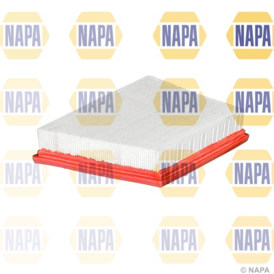 Air Filter (NFA1292)