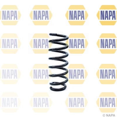 Suspension Spring (NCS1284)