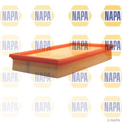 Air Filter (NFA1039)