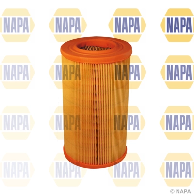 Air Filter (NFA1339)