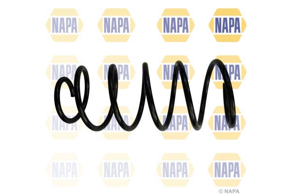 Suspension Spring (NCS1869)