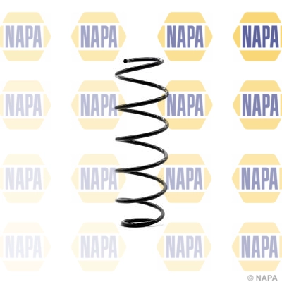 Suspension Spring (NCS1338)