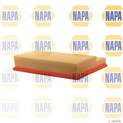 Air Filter (NFA1040)