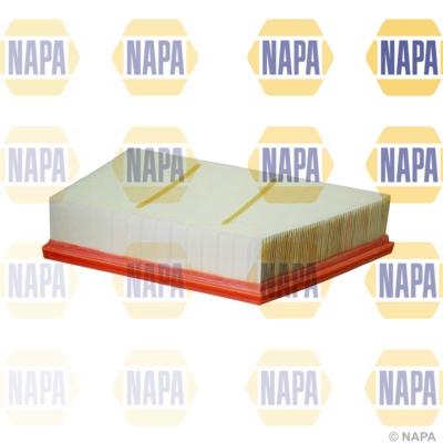 Air Filter (NFA1325)