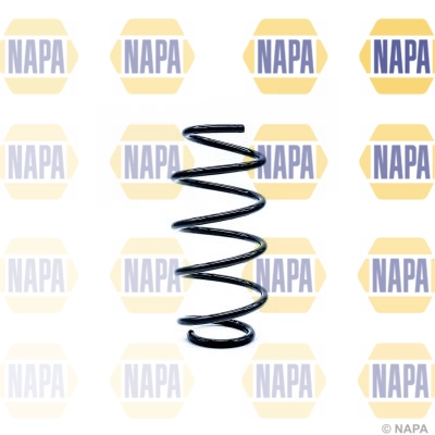 Suspension Spring (NCS1164)