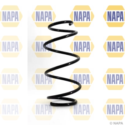 Suspension Spring (NCS1091)