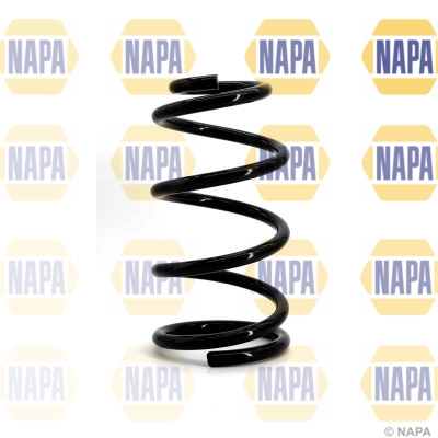 Suspension Spring (NCS1043)