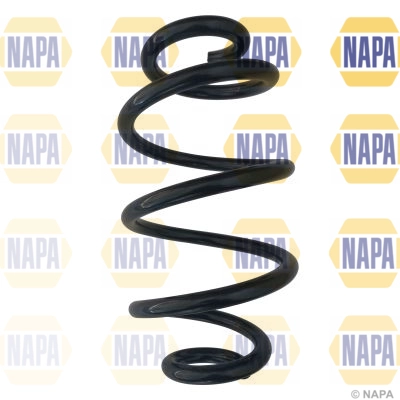 Suspension Spring (NCS1130)