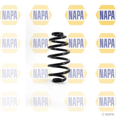 Suspension Spring (NCS1131)