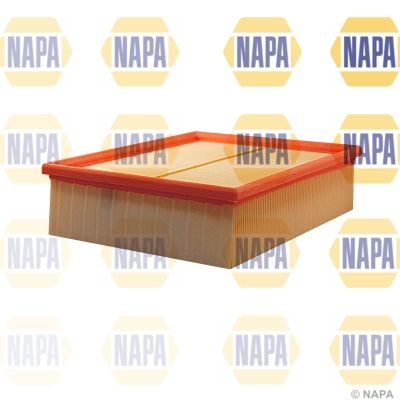 Air Filter (NFA1350)