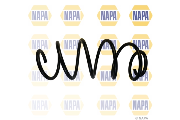 Suspension Spring (NCS1857)