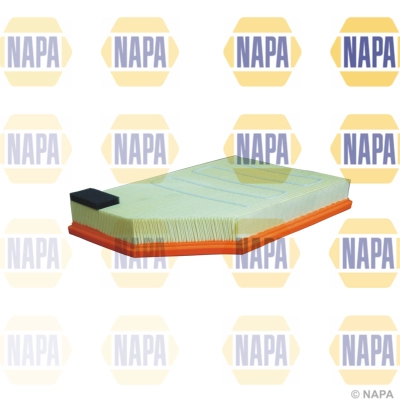 Air Filter (NFA1163)