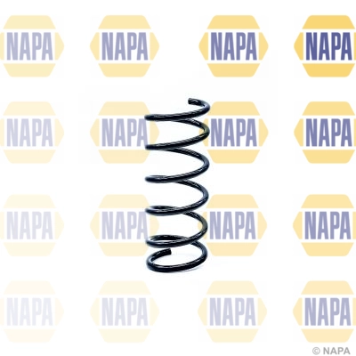 Suspension Spring (NCS1189)