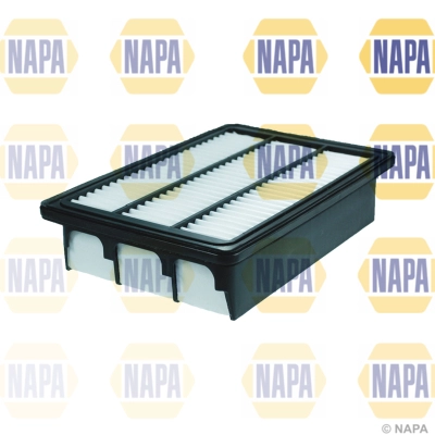 Air Filter (NFA1365)