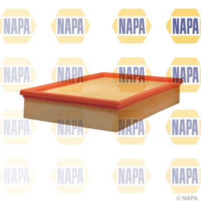 Air Filter (NFA1120)