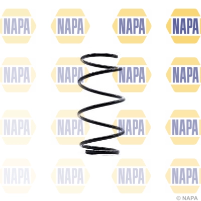 Suspension Spring (NCS1369)