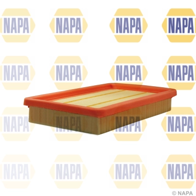 Air Filter (NFA1005)