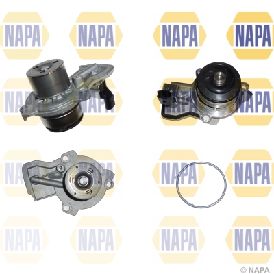 Water Pump, engine cooling (NWP1067)