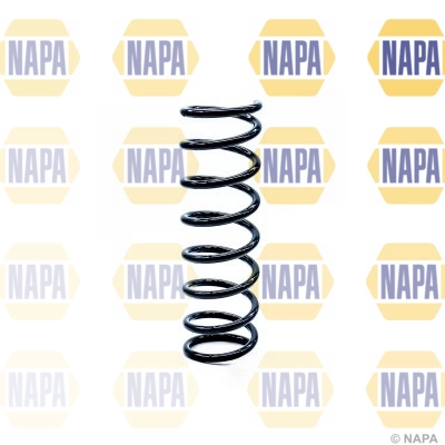 Suspension Spring (NCS1258)