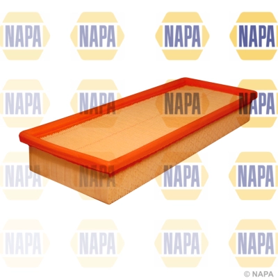 Air Filter (NFA1045)