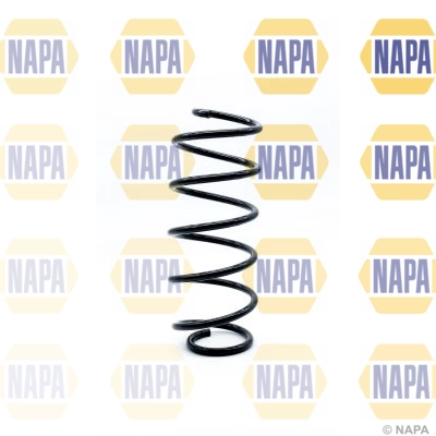 Suspension Spring (NCS1196)