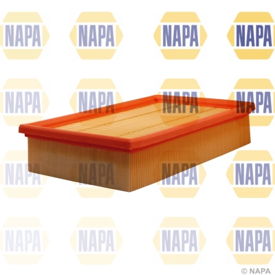 Air Filter (NFA1083)