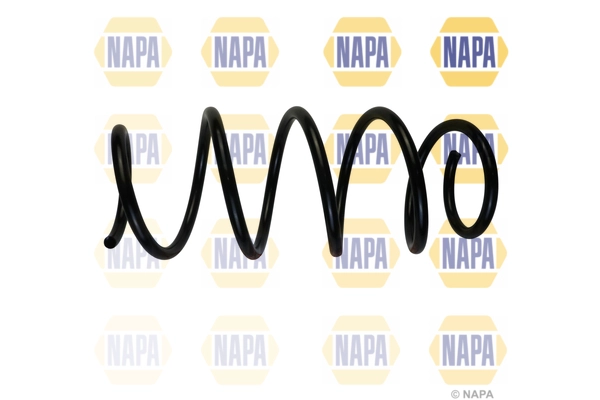 Suspension Spring (NCS1959)