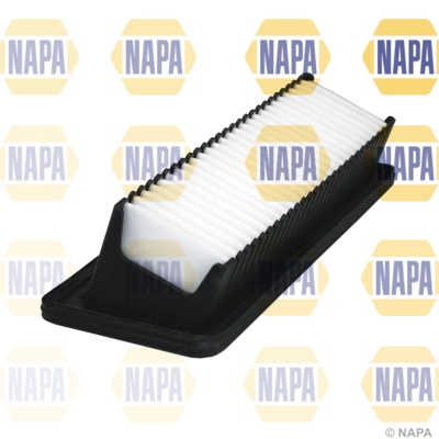 Air Filter (NFA1241)