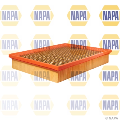 Air Filter (NFA1123)