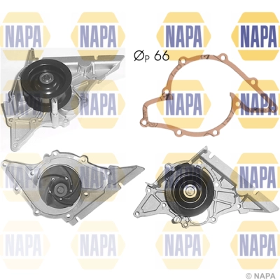 Water Pump, engine cooling (NWP1029)