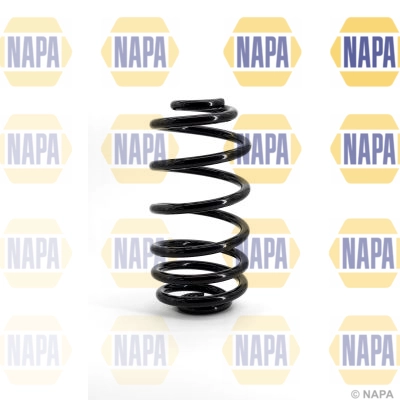 Suspension Spring (NCS1038)