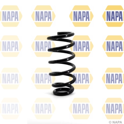 Suspension Spring (NCS1049)