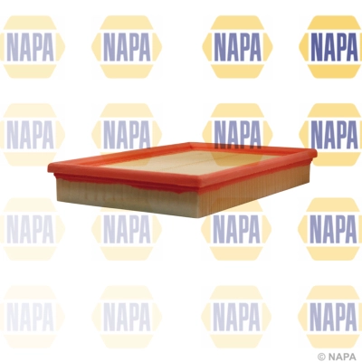 Air Filter (NFA1049)