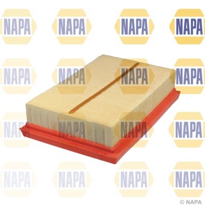 Air Filter (NFA1262)