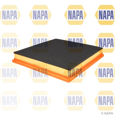Air Filter (NFA1396)