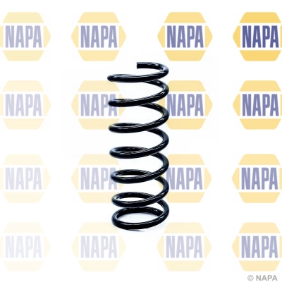 Suspension Spring (NCS1191)