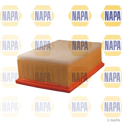 Air Filter (NFA1324)