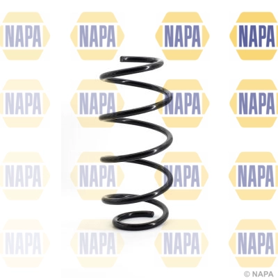 Suspension Spring (NCS1083)
