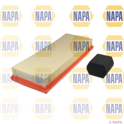 Air Filter (NFA1272)