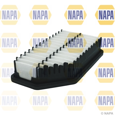 Air Filter (NFA1255)