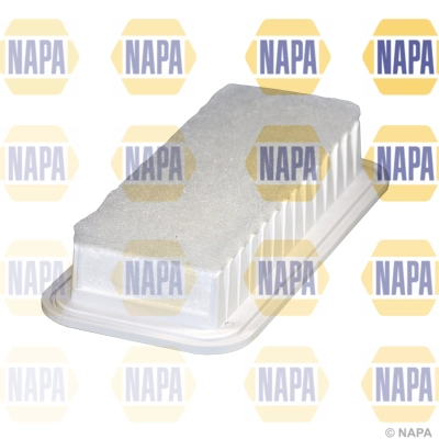 Air Filter (NFA1041)