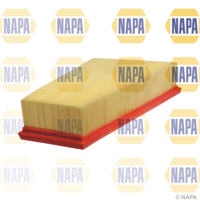Air Filter (NFA1250)