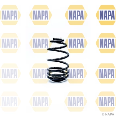 Suspension Spring (NCS1244)