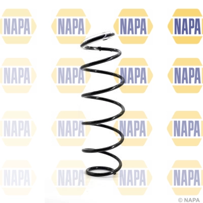 Suspension Spring (NCS1020)