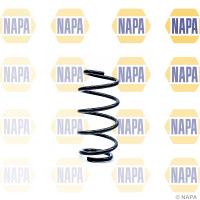 Suspension Spring (NCS1166)