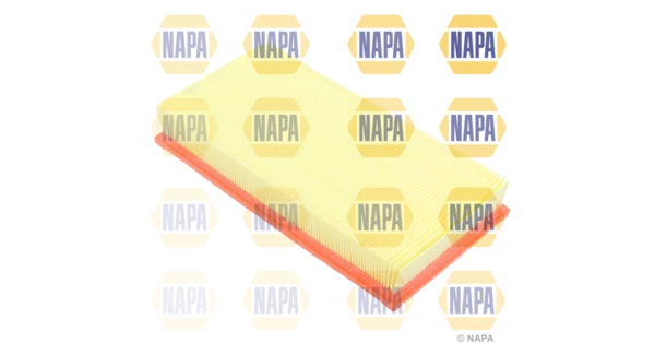 Air Filter (NFA1067)