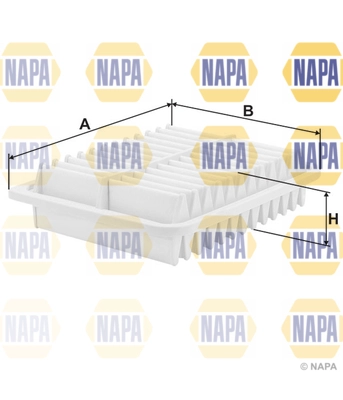 Air Filter (NFA1189)