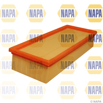 Air Filter (NFA1025)